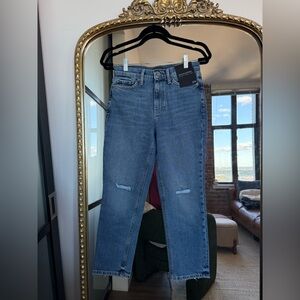 Banana Republic Classic Blue Denim Jeans